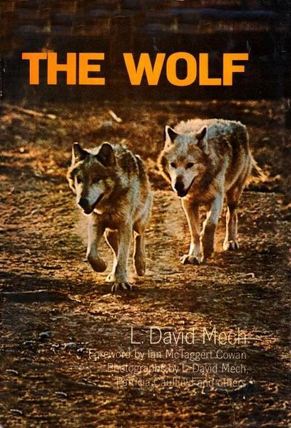 Produktbild: Wolf