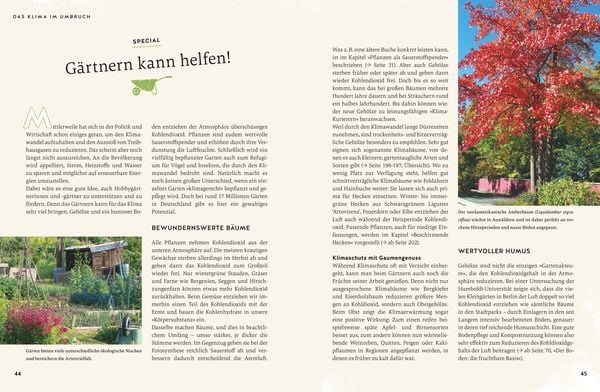 So wird der Garten fit fürs Klima