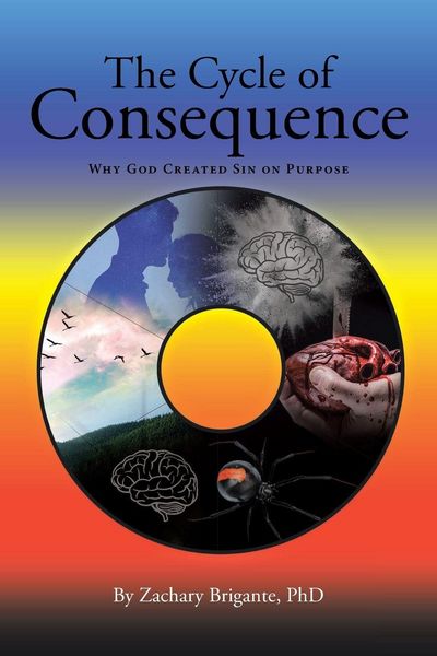 Produktbild: The Cycle of Consequence