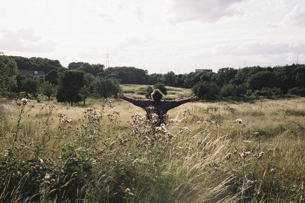 Produktbild: Bird