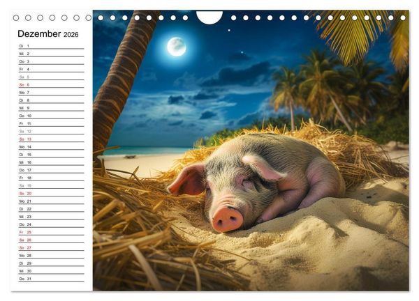 Produktbild: Schweinereien in der Karibik. Sonne und Spa&szlig; mit schwimmenden Schweinen (Wandkalender 2026 DIN A4 quer), CALVENDO Monatskalender