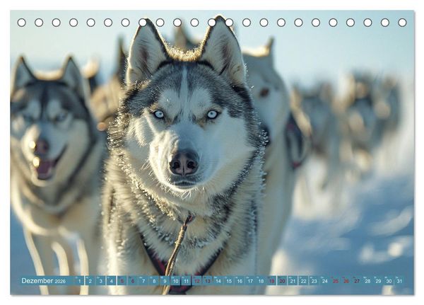 Produktbild: Schlittenhund Tr&auml;ume (Tischkalender 2026 DIN A5 quer), CALVENDO Monatskalender