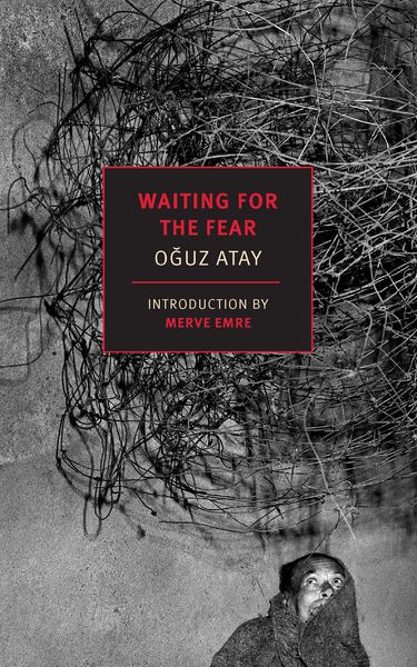 Produktbild: Waiting for the Fear
