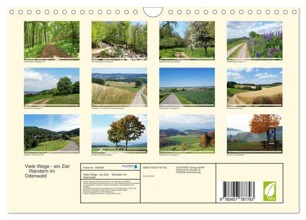 Produktbild: Viele Wege - ein Ziel Wandern im Odenwald (Wandkalender 2026 DIN A4 quer), CALVENDO Monatskalender