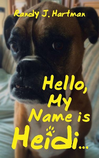 Produktbild: Hello, My Name is Heidi...