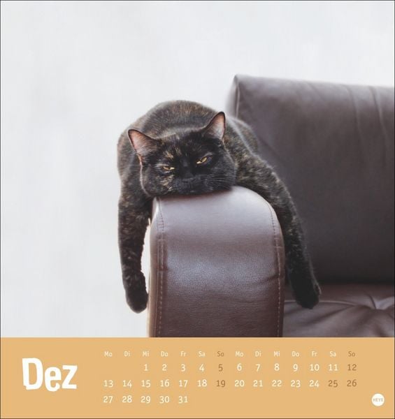 Produktbild: Tierisch entspannte Katzen Postkartenkalender 2027