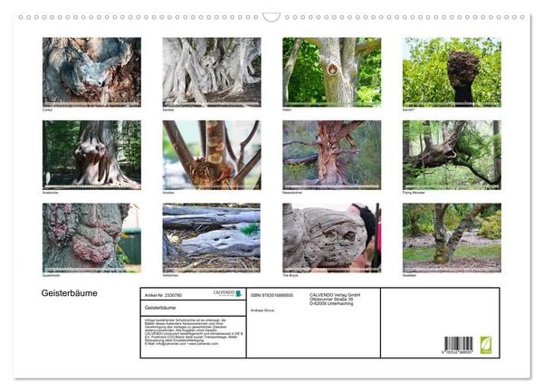 Produktbild: Geisterb&auml;ume (Wandkalender 2027 DIN A2 quer), CALVENDO Monatskalender