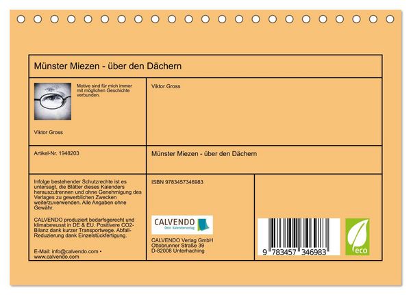 Produktbild: M&uuml;nster Miezen - &uuml;ber den D&auml;chern (Tischkalender 2026 DIN A5 quer), CALVENDO Monatskalender