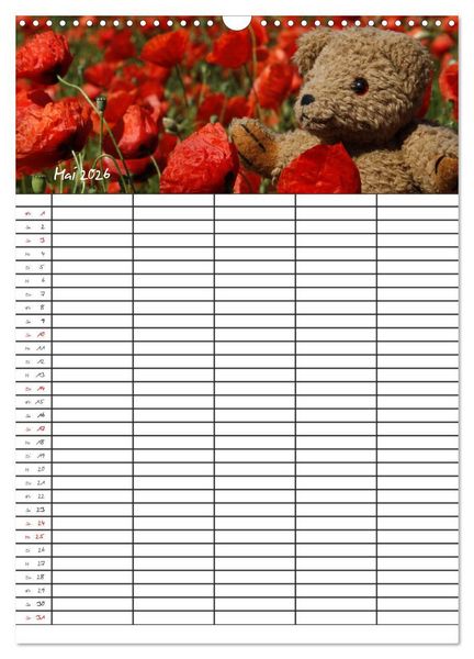 Produktbild: Der Teddyb&auml;ren-Familienplaner (Wandkalender 2026 DIN A3 hoch), CALVENDO Monatskalender