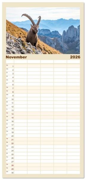 Produktbild: Familienplaner 2026 - Steinb&ouml;cke - Eindr&uuml;ckliche K&ouml;nige der Alpen mit 5 Spalten (Wandkalender, 21 x 45 cm) CALVENDO