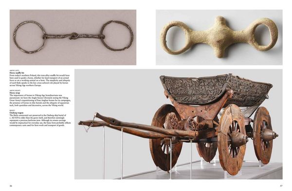 Produktbild: Treasures of the Vikings