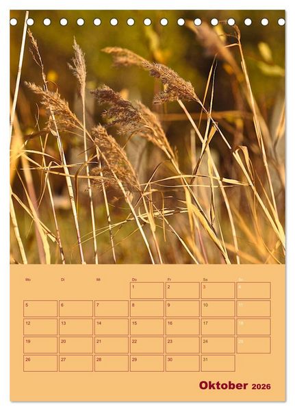 Produktbild: Wald- und Wiesenkalender 2026 Planer (Tischkalender 2026 DIN A5 hoch), CALVENDO Monatskalender