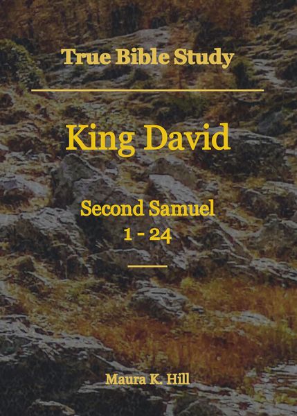Produktbild: True Bible Study - King David Second Samuel 1-24