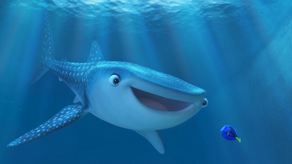 Produktbild: Findet Dorie