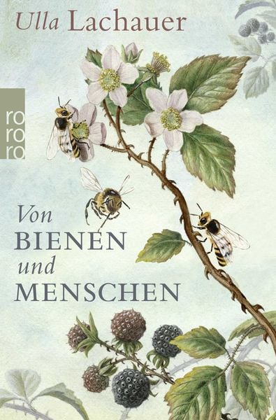 Von Bienen und Menschen, Taschenbuch von Ulla Lachauer, Rowohlt Taschenbuch, 978-3-499-63243-3