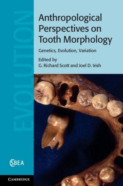 Produktbild: Anthropological Perspectives on Tooth Morphology