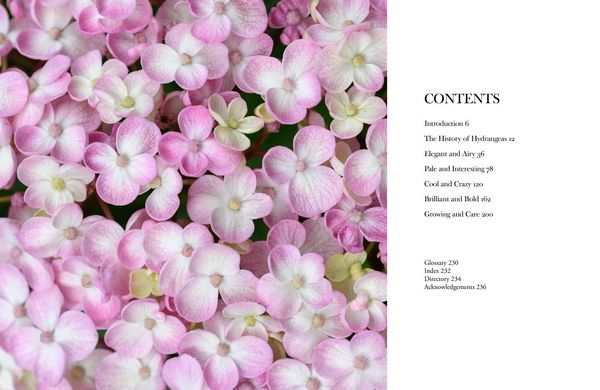 Produktbild: Hydrangeas