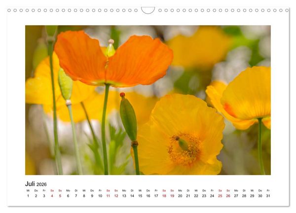 Produktbild: Oranger Bl&uuml;tentraum (Wandkalender 2026 DIN A3 quer), CALVENDO Monatskalender