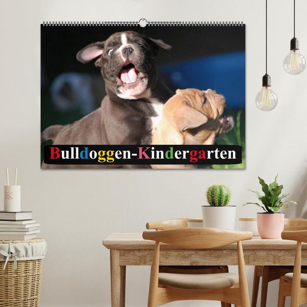 Produktbild: Bulldoggen-Kindergarten (Wandkalender 2026 DIN A2 quer), CALVENDO Monatskalender