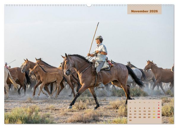 Produktbild: Pferde - Andalusiens wilder Westen (Wandkalender 2026 DIN A2 quer), CALVENDO Monatskalender