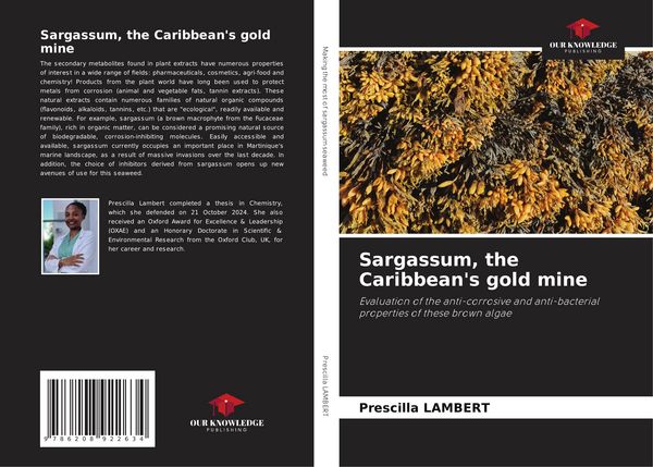 Produktbild: Sargassum, the Caribbean's gold mine