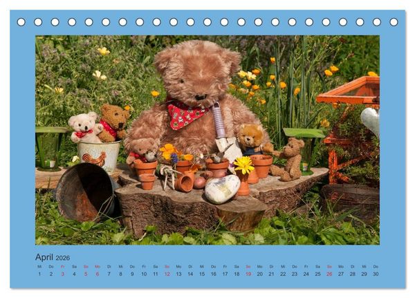 Produktbild: Teddys Meine Freunde (Tischkalender 2026 DIN A5 quer), CALVENDO Monatskalender