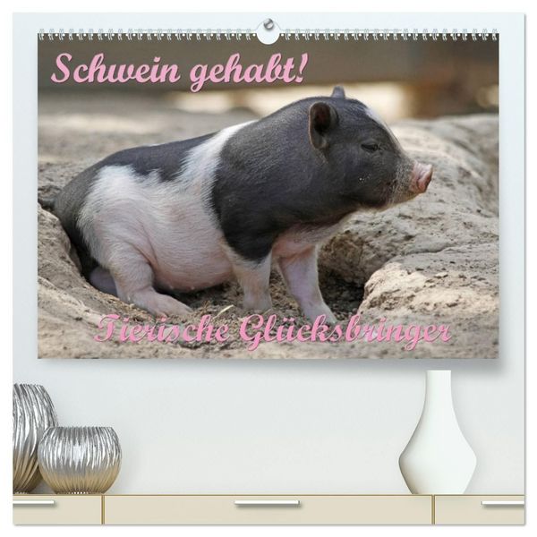 Produktbild: Schwein gehabt! (hochwertiger Premium Wandkalender 2027 DIN A2 quer), Kunstdruck in Hochglanz