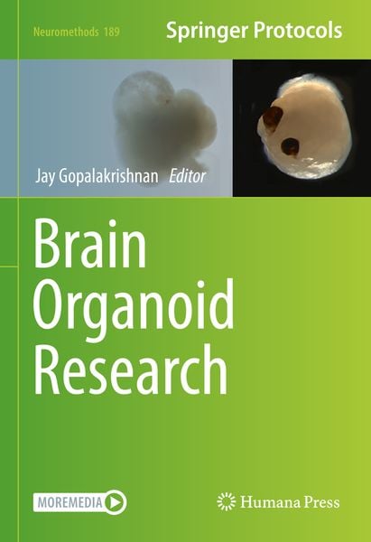 Produktbild: Brain Organoid Research