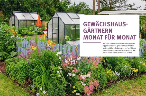 Produktbild: G&auml;rtnern im Gew&auml;chshaus Monat f&uuml;r Monat