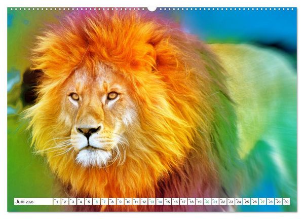 Produktbild: Farbenfestival der Tiere - Artwork (hochwertiger Premium Wandkalender 2026 DIN A2 quer), Kunstdruck in Hochglanz