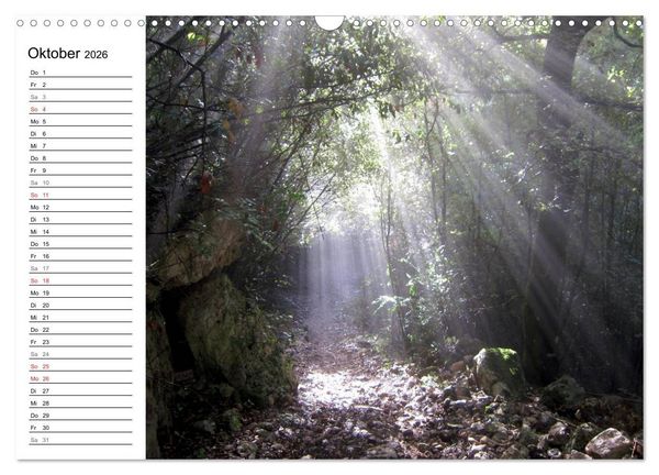 Produktbild: Camino di Assisi - Franziskusweg (Wandkalender 2026 DIN A3 quer), CALVENDO Monatskalender