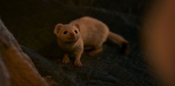 Produktbild: His Dark Materials: Staffel 3 [2 BRs]