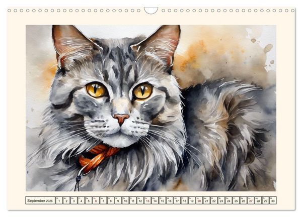 Produktbild: Samtpfoten im Portrait (Wandkalender 2026 DIN A3 quer), CALVENDO Monatskalender