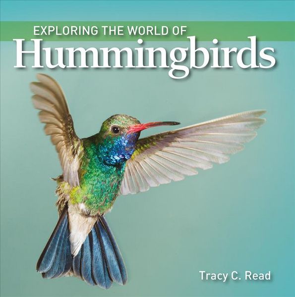 Produktbild: Exploring the World of Hummingbirds