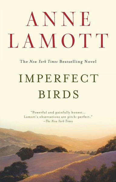 Produktbild: Imperfect Birds