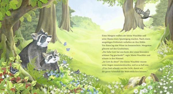 Produktbild: Der kleine Waschb&auml;r fragt nach Gott &ndash; ein Bilderbuch f&uuml;r Kinder ab 2 Jahren