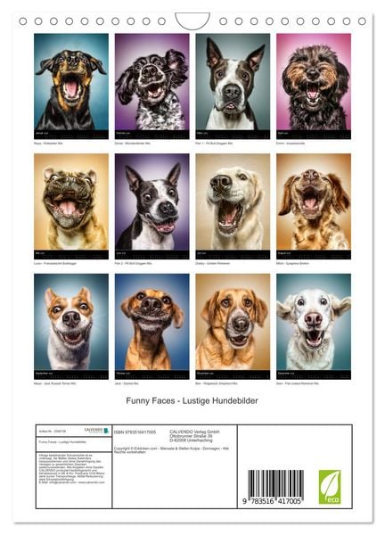 Produktbild: Funny Faces - Lustige Hundebilder (Wandkalender 2026 DIN A4 hoch), CALVENDO Monatskalender