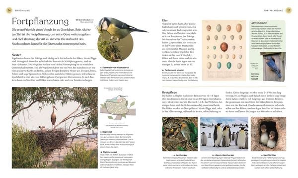 Produktbild: V&ouml;gel - Eine Natur- und Kulturgeschichte