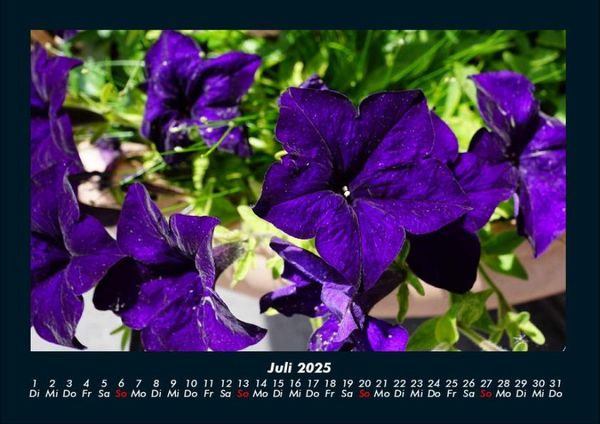 Produktbild: Blumenzauber 2025 Fotokalender DIN A4