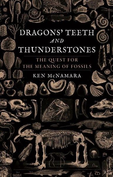 Produktbild: Dragons' Teeth and Thunderstones