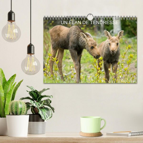 Produktbild: Un &eacute;lan de tendresse (Calendrier mural 2026 DIN A4 vertical), CALVENDO calendrier mensuel