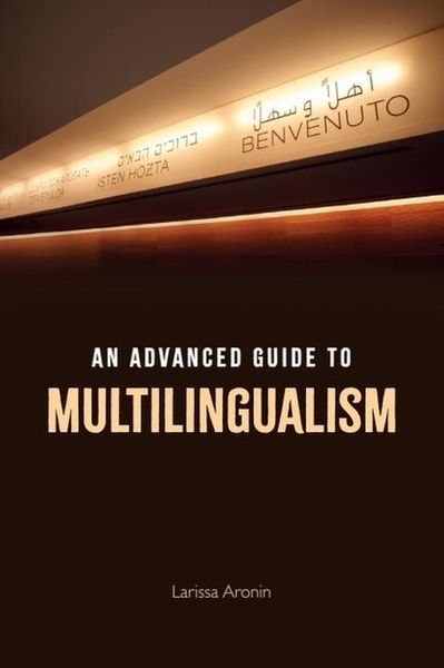 Produktbild: An Advanced Guide to Multilingualism