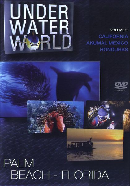 Produktbild: Under Water World Vol. 5 - Palm Beach - Florida