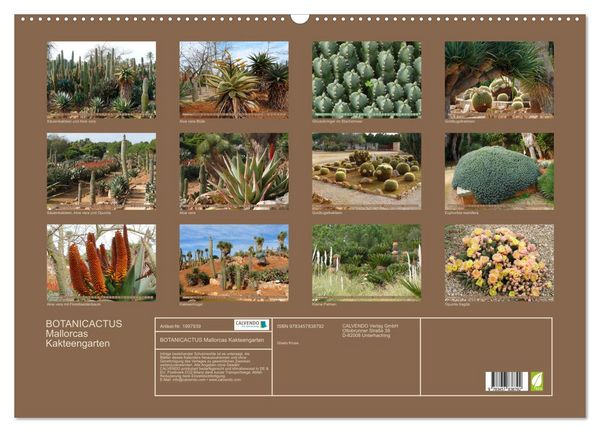 Produktbild: BOTANICACTUS Mallorcas Kakteengarten (Wandkalender 2026 DIN A2 quer), CALVENDO Monatskalender