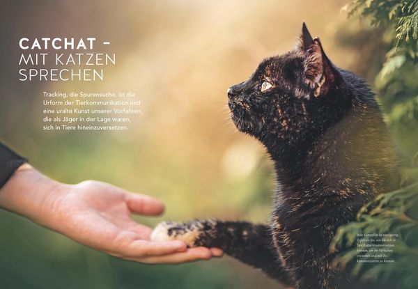 Produktbild: Was will mir meine Katze sagen?