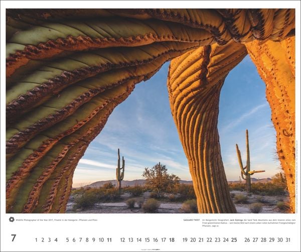 Produktbild: Meisterwerke der Natur 2027 - Preisgekr&ouml;nte Naturfotografie