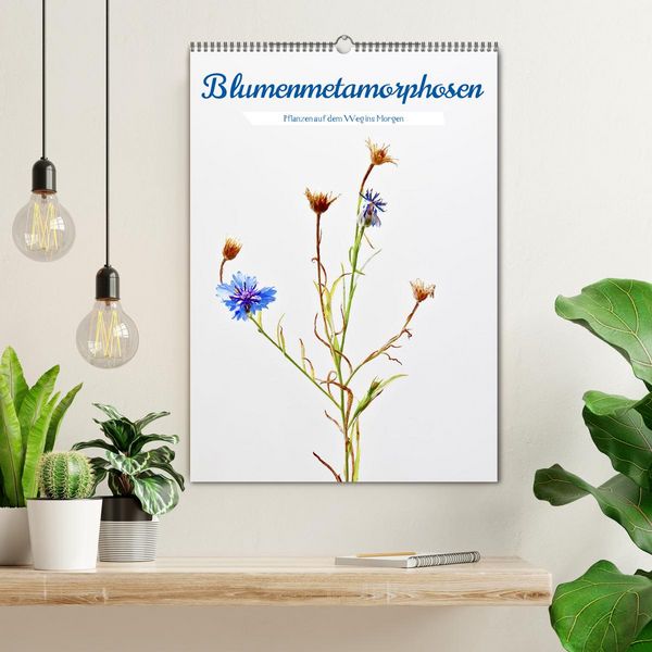 Produktbild: Blumenmetamorphosen (Wandkalender 2026 DIN A2 hoch), CALVENDO Monatskalender