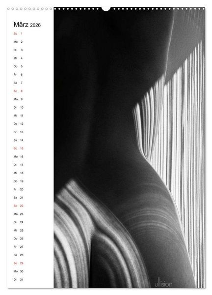 Produktbild: Akt abstrakt (hochwertiger Premium Wandkalender 2026 DIN A2 hoch), Kunstdruck in Hochglanz