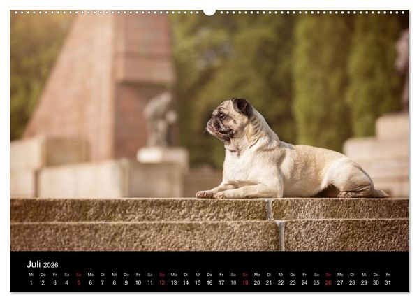 Produktbild: Berliner M&ouml;pse (Wandkalender 2026 DIN A2 quer), CALVENDO Monatskalender