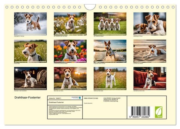 Produktbild: Drahthaar-Foxterrier (Wandkalender 2026 DIN A4 quer), CALVENDO Monatskalender